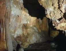 WhatsApp Image 2020-10-18 at 20.36.03