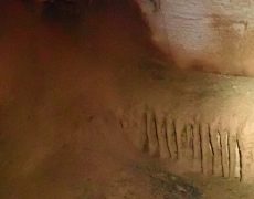 WhatsApp Image 2020-10-18 at 20.36.04 (1)