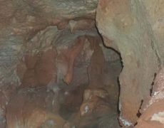 WhatsApp Image 2020-10-18 at 20.36.05 (1)