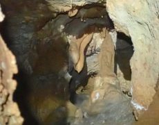 WhatsApp Image 2020-10-18 at 20.36.05 (2)