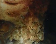 WhatsApp Image 2020-10-18 at 20.36.07