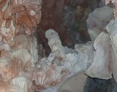 WhatsApp Image 2020-10-18 at 20.36.44 (1)