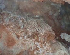 WhatsApp Image 2020-10-18 at 20.36.45 (1)