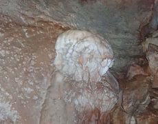 WhatsApp Image 2020-10-18 at 20.36.45