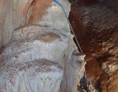 WhatsApp Image 2020-10-18 at 20.36.46 (1)