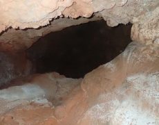 WhatsApp Image 2020-10-18 at 20.36.47