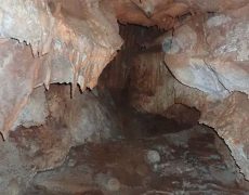 WhatsApp Image 2020-10-18 at 20.36.48 (1)