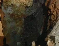 WhatsApp Image 2020-10-18 at 20.36.48 (3)