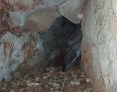 WhatsApp Image 2020-10-18 at 20.36.48