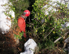 WhatsApp Image 2020-10-19 at 13.39.09