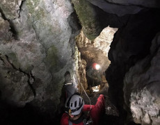 WhatsApp Image 2020-10-24 at 22.09.57 (1)