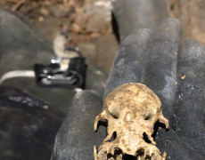 WhatsApp Image 2020-10-24 at 22.09.57 (1)