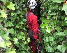 WhatsApp Image 2020-10-24 at 22.09.57