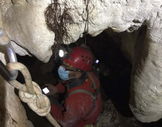 WhatsApp Image 2020-10-24 at 22.09.57