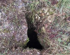 WhatsApp Image 2020-10-24 at 22.09.58