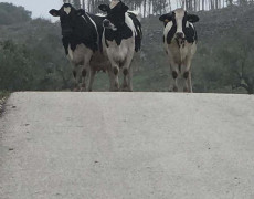 WhatsApp Image 2020-10-24 at 22.10.02