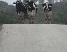 WhatsApp Image 2020-10-24 at 22.10.02