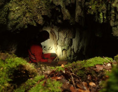 WhatsApp Image 2020-10-24 at 22.21.02