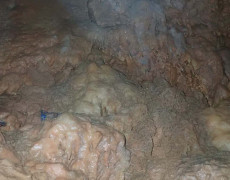 WhatsApp Image 2020-10-24 at 22.25.53 (1)