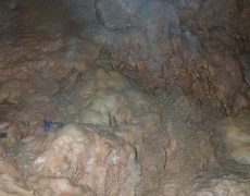 WhatsApp Image 2020-10-24 at 22.25.53 (1)