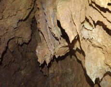 WhatsApp Image 2020-10-24 at 22.25.53 (2)