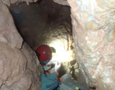 WhatsApp Image 2020-10-24 at 22.25.54 (1)