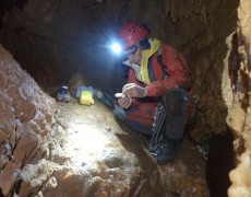 WhatsApp Image 2020-10-24 at 22.25.54