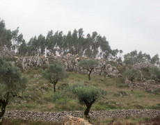 WhatsApp Image 2020-10-24 at 22.25.55 (1)