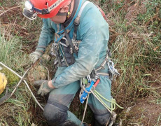 WhatsApp Image 2020-10-24 at 22.25.56 (2)