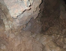 WhatsApp Image 2020-10-24 at 22.25.56 (3)