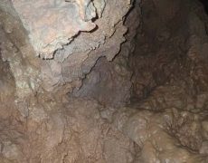 WhatsApp Image 2020-10-24 at 22.25.56 (3)