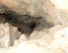 WhatsApp Image 2020-10-24 at 22.25.56