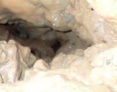 WhatsApp Image 2020-10-24 at 22.25.56