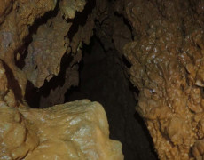 WhatsApp Image 2020-10-24 at 22.25.57