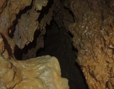 WhatsApp Image 2020-10-24 at 22.25.57