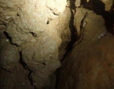 WhatsApp Image 2020-10-24 at 22.25.58 (1)