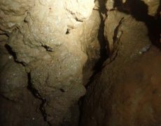 WhatsApp Image 2020-10-24 at 22.25.58 (1)