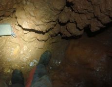 WhatsApp Image 2020-10-24 at 22.25.58 (2)