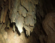 WhatsApp Image 2020-10-24 at 22.25.59 (2)