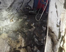 WhatsApp Image 2020-10-24 at 22.26.37