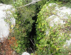 Figura 5 - Entrada do Algar Tudo Legal (Foto: Rute Santos - GEM)