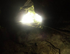 WhatsApp Image 2020-10-24 at 22.26.44 (1)