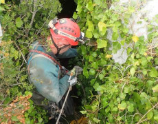 WhatsApp Image 2020-10-24 at 22.26.44