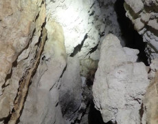 WhatsApp Image 2020-10-24 at 22.26.47 (1)