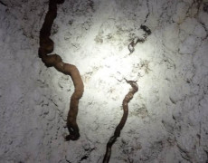 WhatsApp Image 2020-10-24 at 22.26.47 (3)