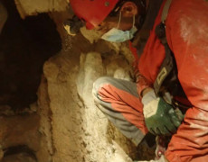 WhatsApp Image 2020-10-24 at 22.26.48