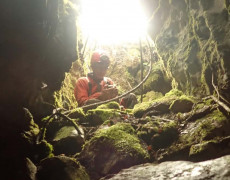 WhatsApp Image 2020-10-24 at 22.27.29