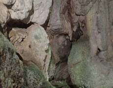 WhatsApp Image 2020-10-24 at 22.27.30 (1)