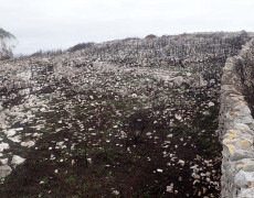 WhatsApp Image 2020-10-24 at 22.27.35 (1)