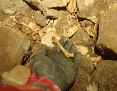 WhatsApp Image 2020-10-24 at 22.27.36 (1)